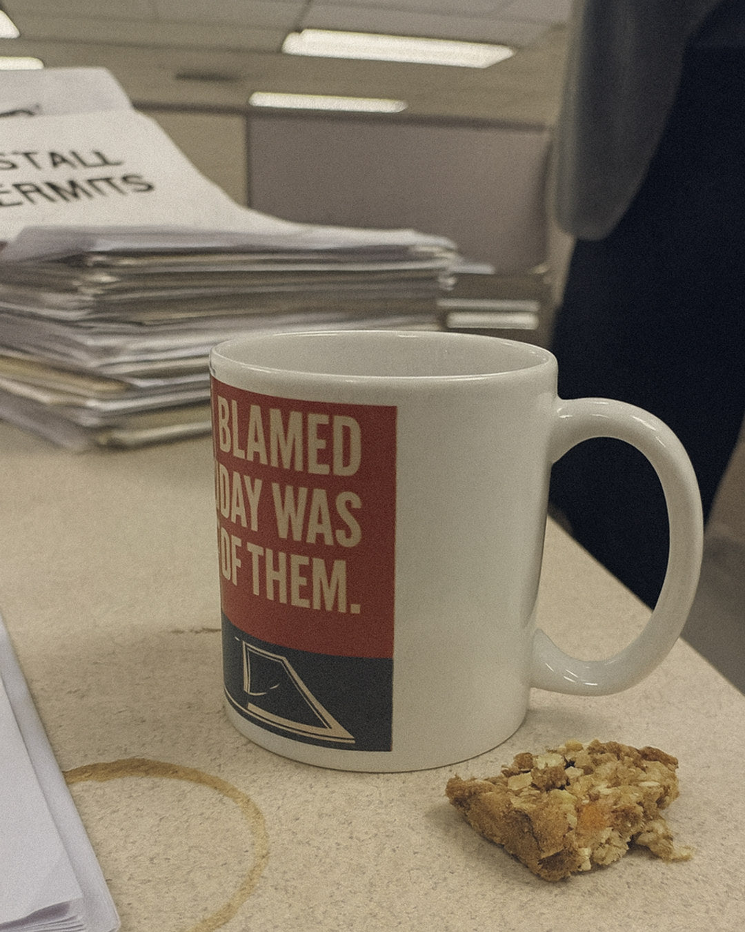 "They Blamed Us. It Was Them." Mug — in the wild